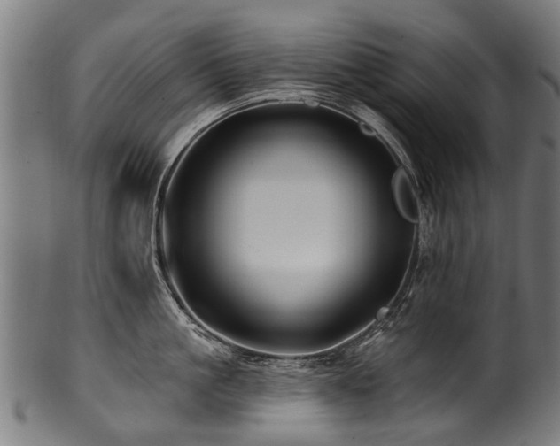 X0000100970861200806241549