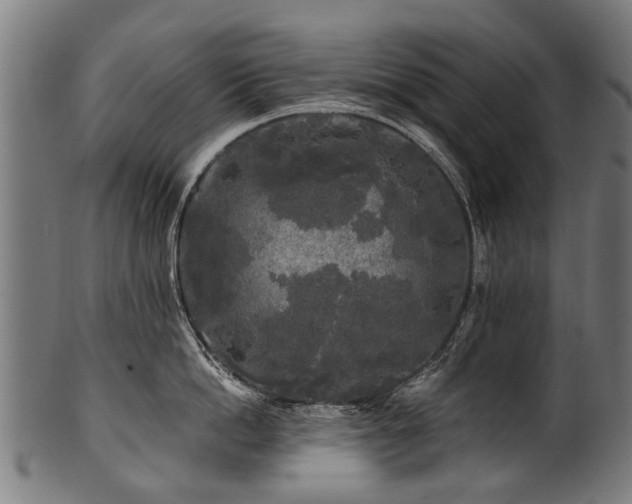 X0000100970862200806241549