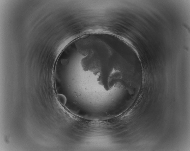 X0000100970863200806241549