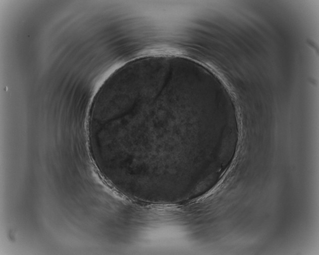 X0000100970864200806241549