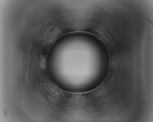 X0000100970866200806241549