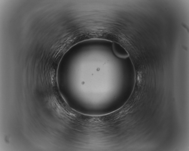 X0000100970867200806241549