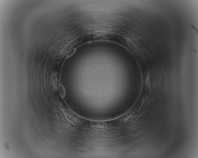 X0000100970868200806241549