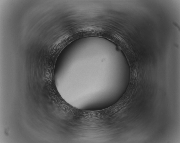 X0000100970869200806241549