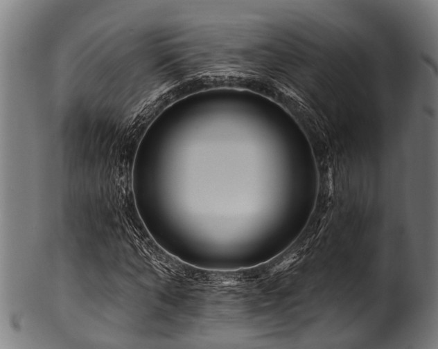 X0000100970870200806241549