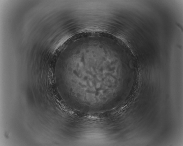 X0000100970871200806241549