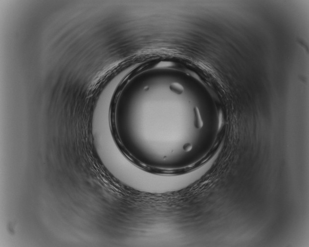 X0000100970872200806241549