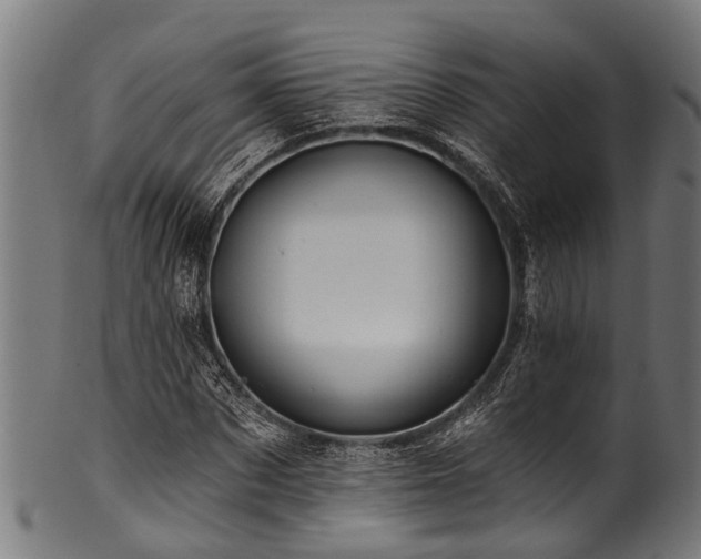 X0000100970873200806241549