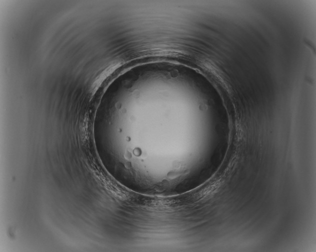 X0000100970875200806241549