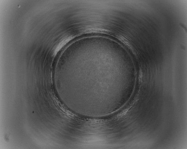 X0000100970877200806241549