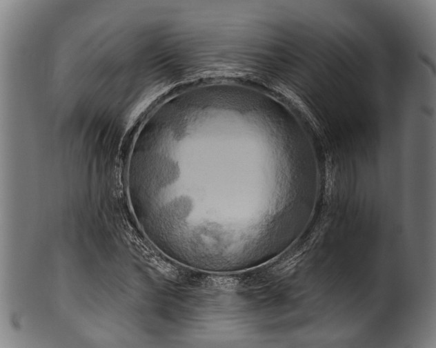 X0000100970878200806241549