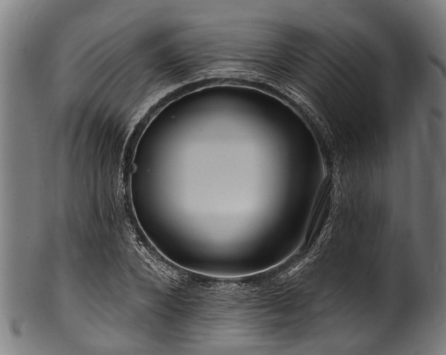 X0000100970880200806241549