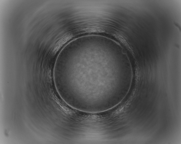 X0000100970881200806241548