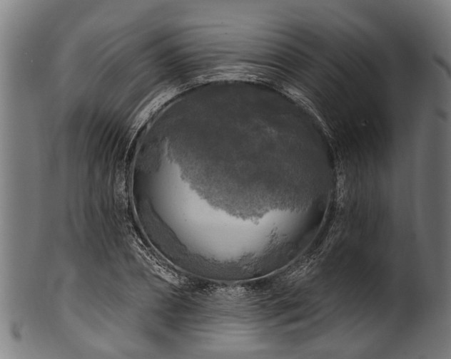 X0000100970882200806241548