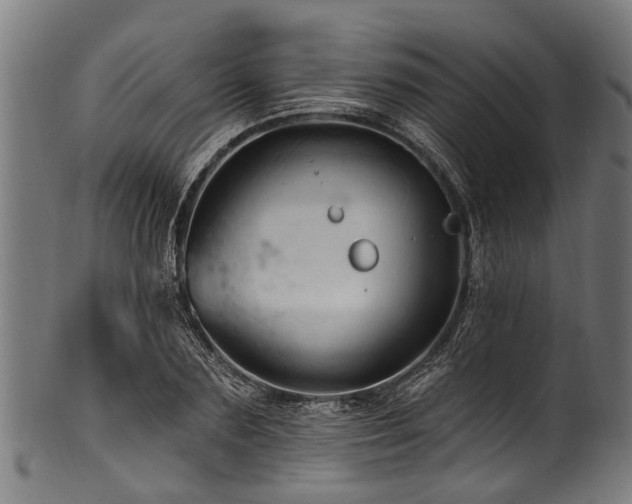 X0000100970883200806241548