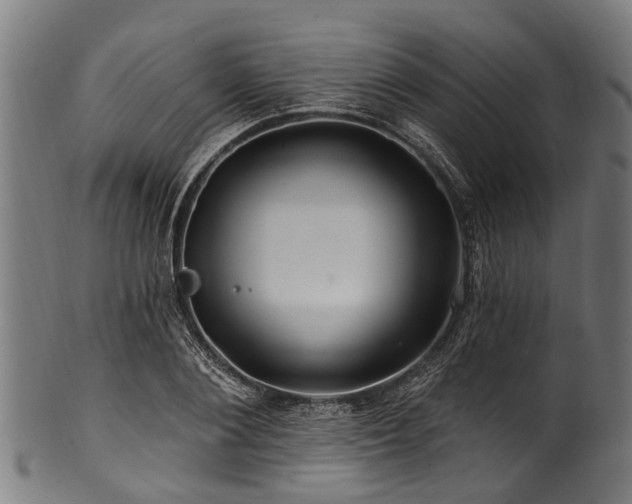 X0000100970884200806241548