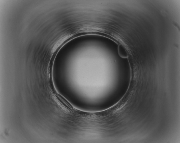 X0000100970885200806241548