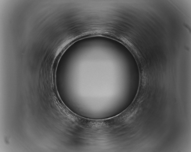 X0000100970886200806241548