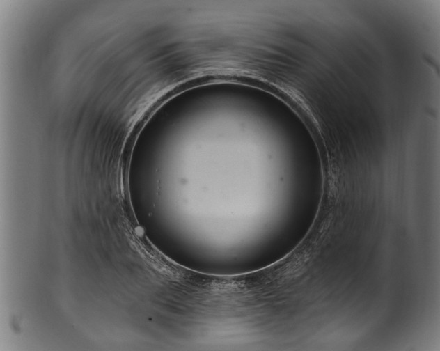 X0000100970887200806241548