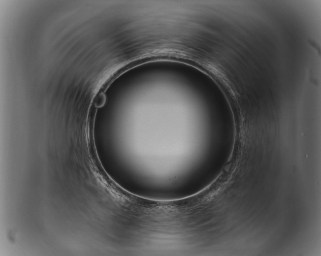 X0000100970888200806241548