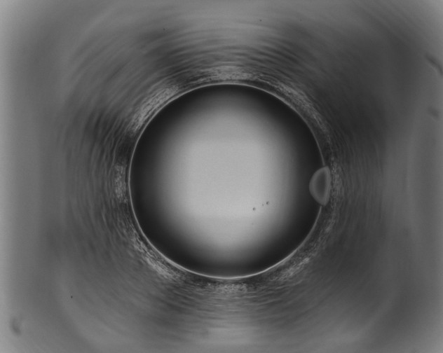 X0000100970889200806241548