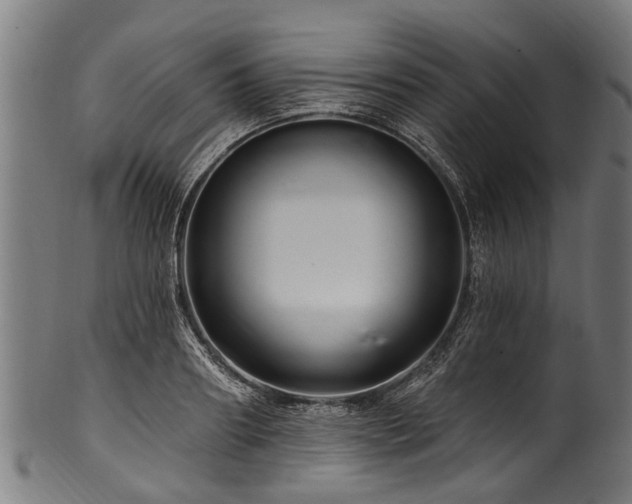 X0000100970890200806241548