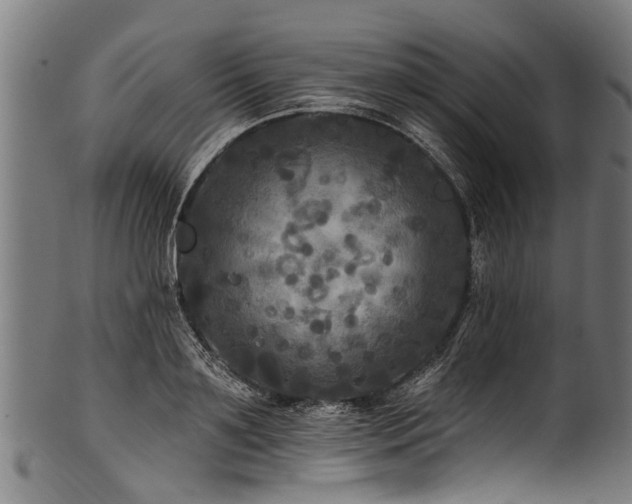 X0000100970891200806241548