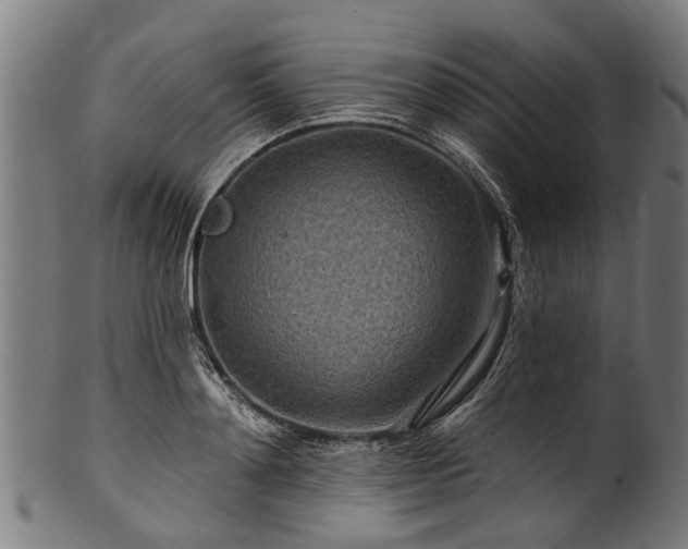 X0000100970892200806241548