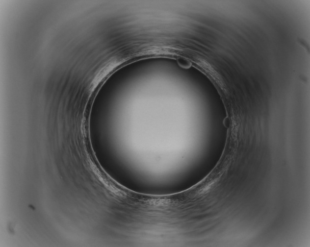 X0000100970893200806241548