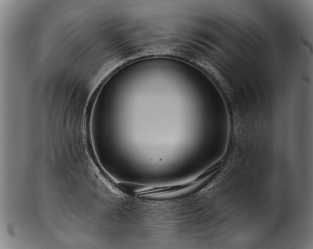 X0000100970894200806241548