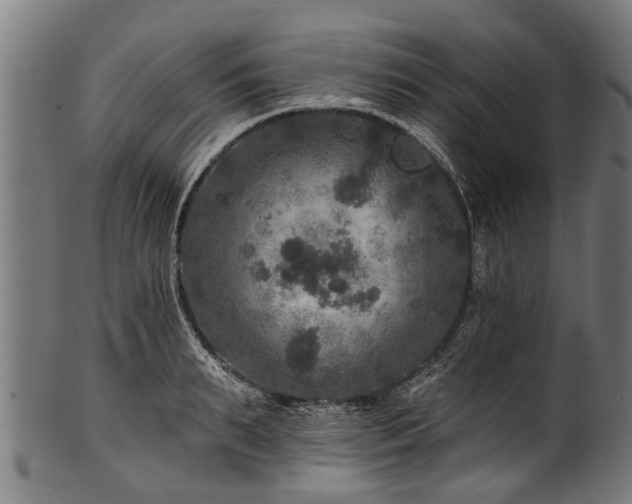 X0000100970895200806241548