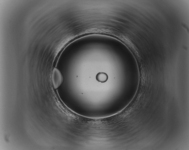 X0000100970896200806241548