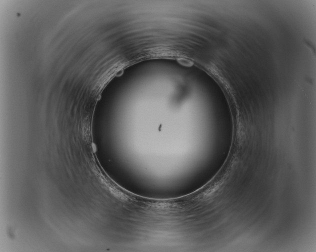 X0000100970897200806241548