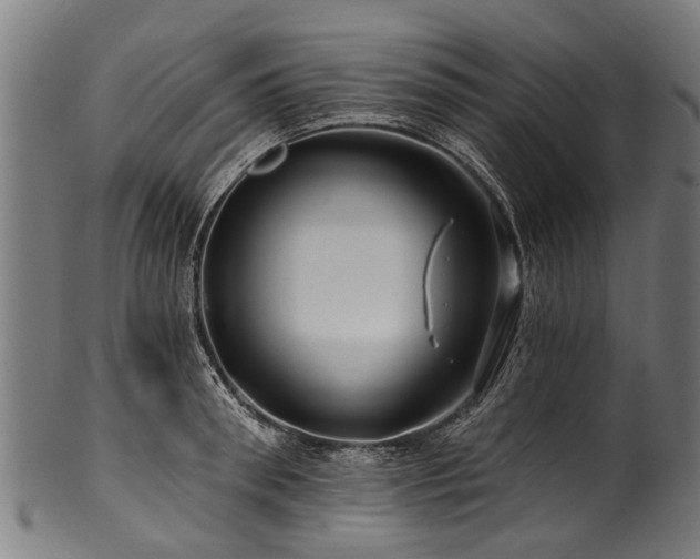 X0000100970898200806241548