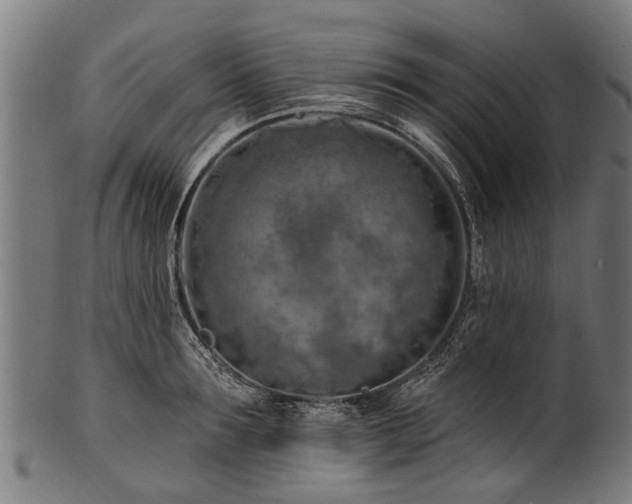 X0000100970899200806241548