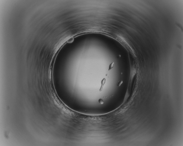 X0000100970900200806241548