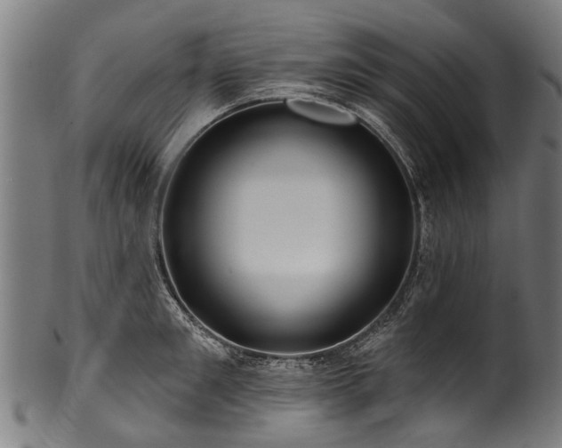 X0000100970901200806241548