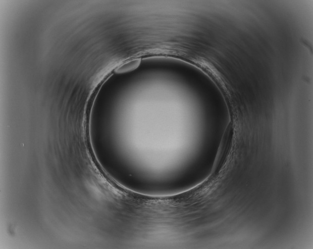 X0000100970902200806241548