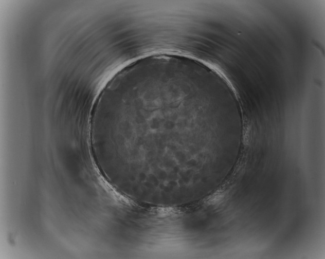 X0000100970903200806241548