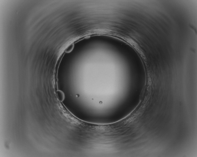 X0000100970904200806241548