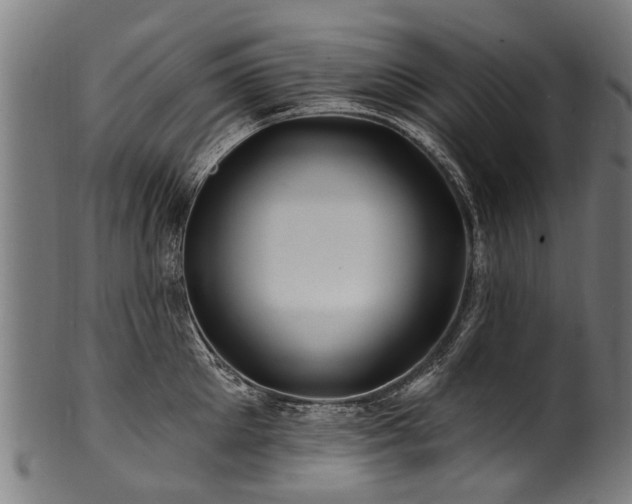 X0000100970905200806241548