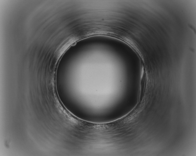 X0000100970906200806241548