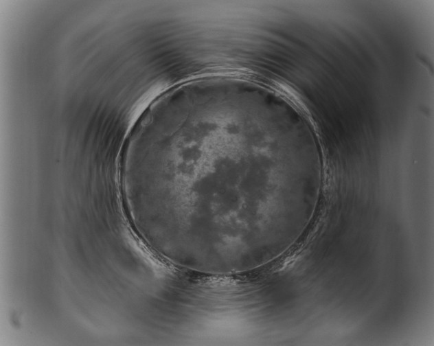 X0000100970907200806241548