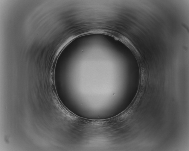 X0000100970908200806241548