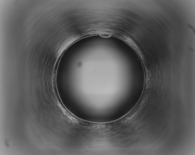 X0000100970909200806241548