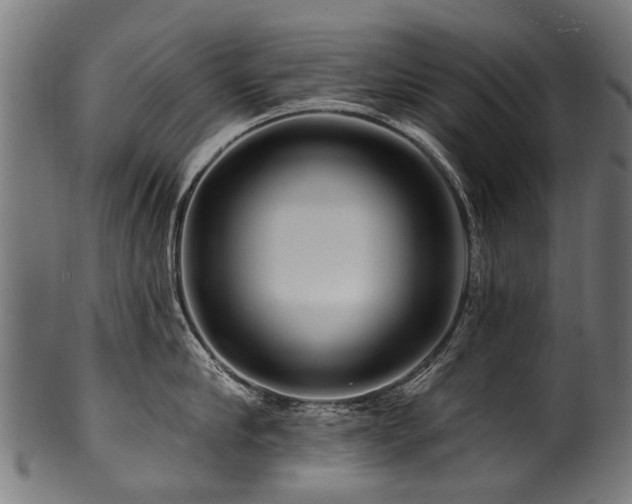 X0000100970910200806241548