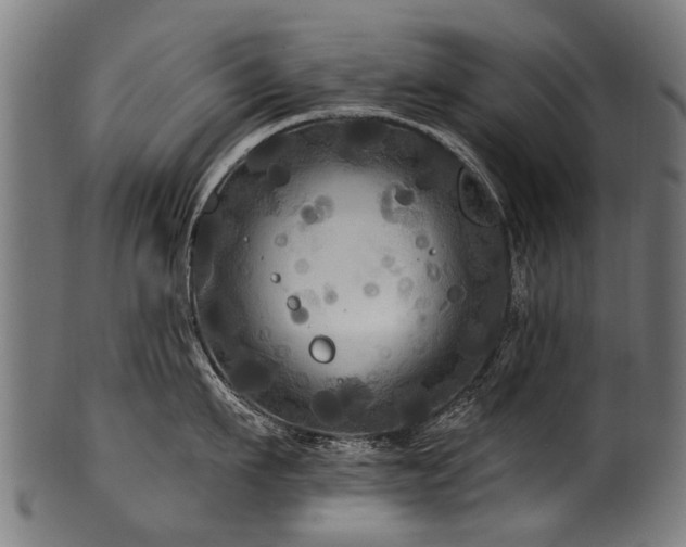 X0000100970911200806241548