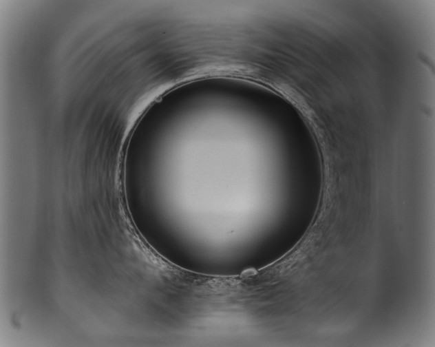 X0000100970912200806241548