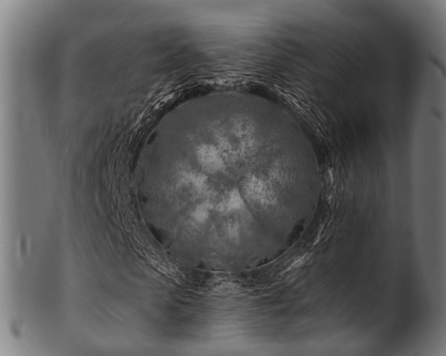 X0000100970913200806241547