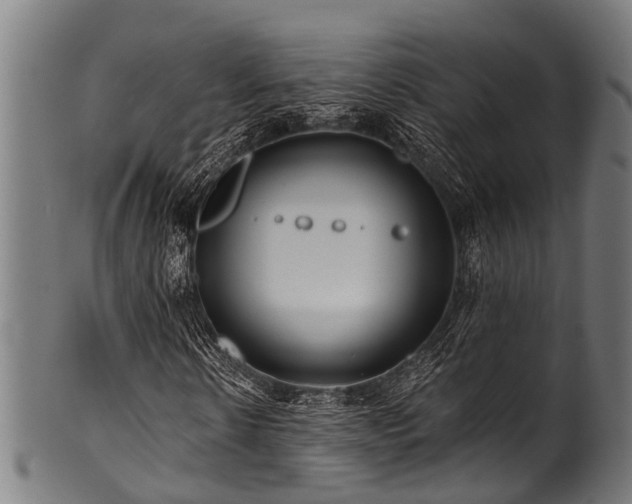 X0000100970914200806241547